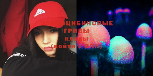 амф Алексеевка